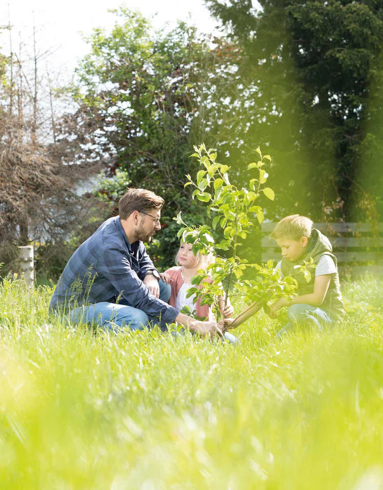 Biologisch abbaubare Tierurnen