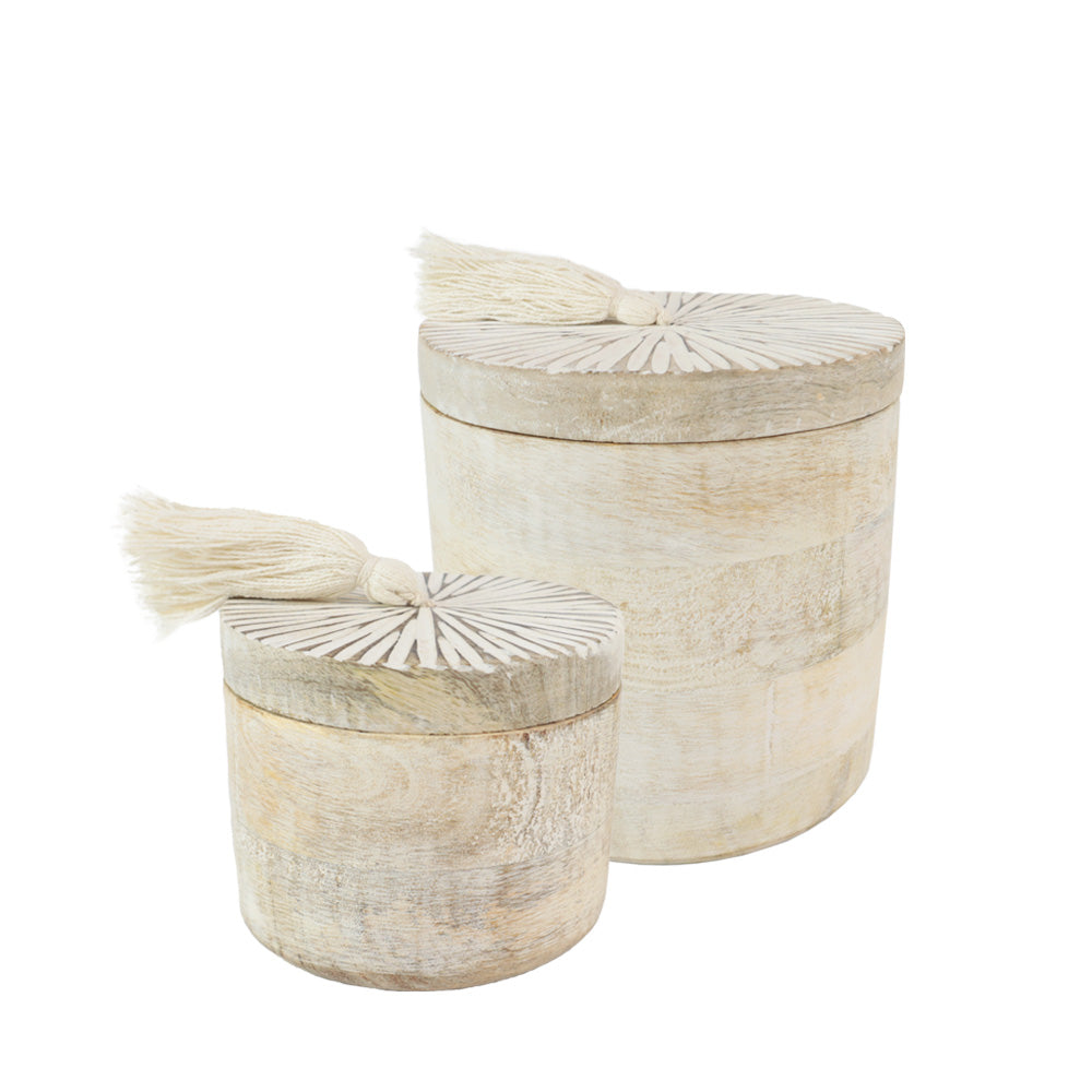 Biologisch abbaubare Tierurne