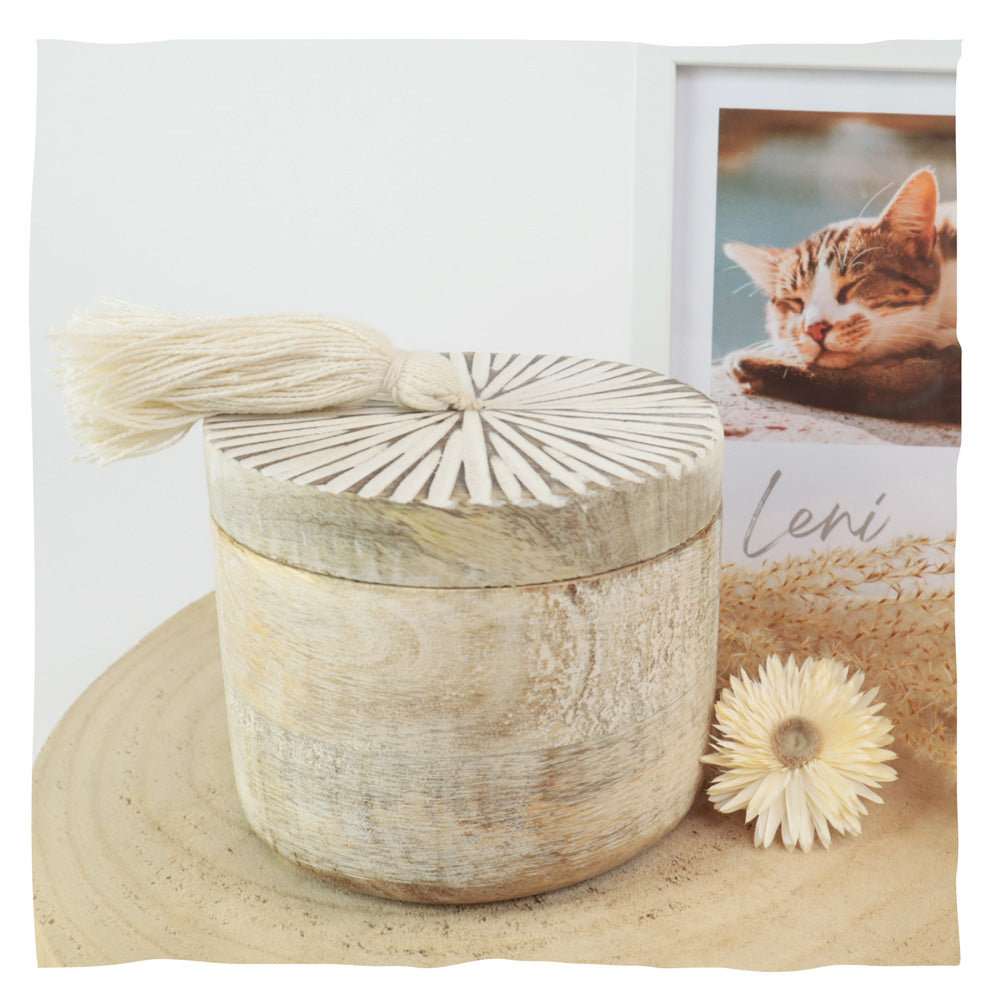 Biologisch abbaubare Tierurne