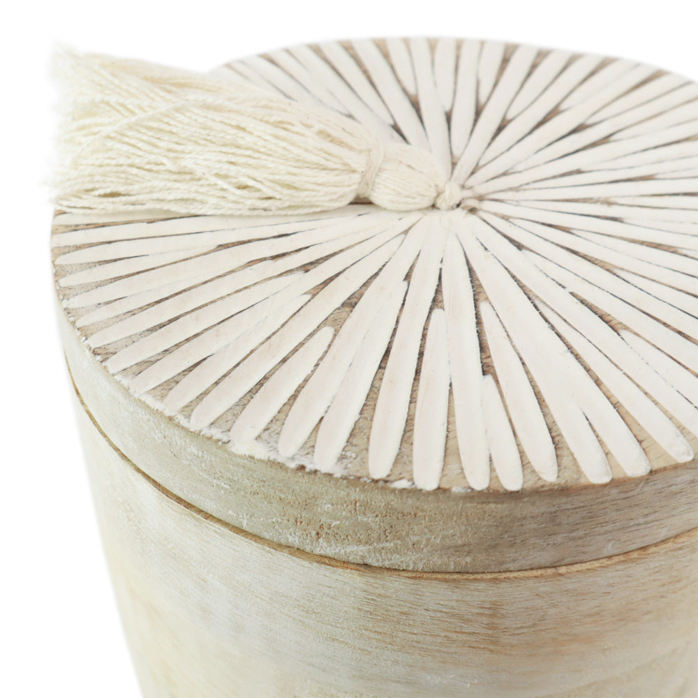 Biologisch abbaubare Tierurne