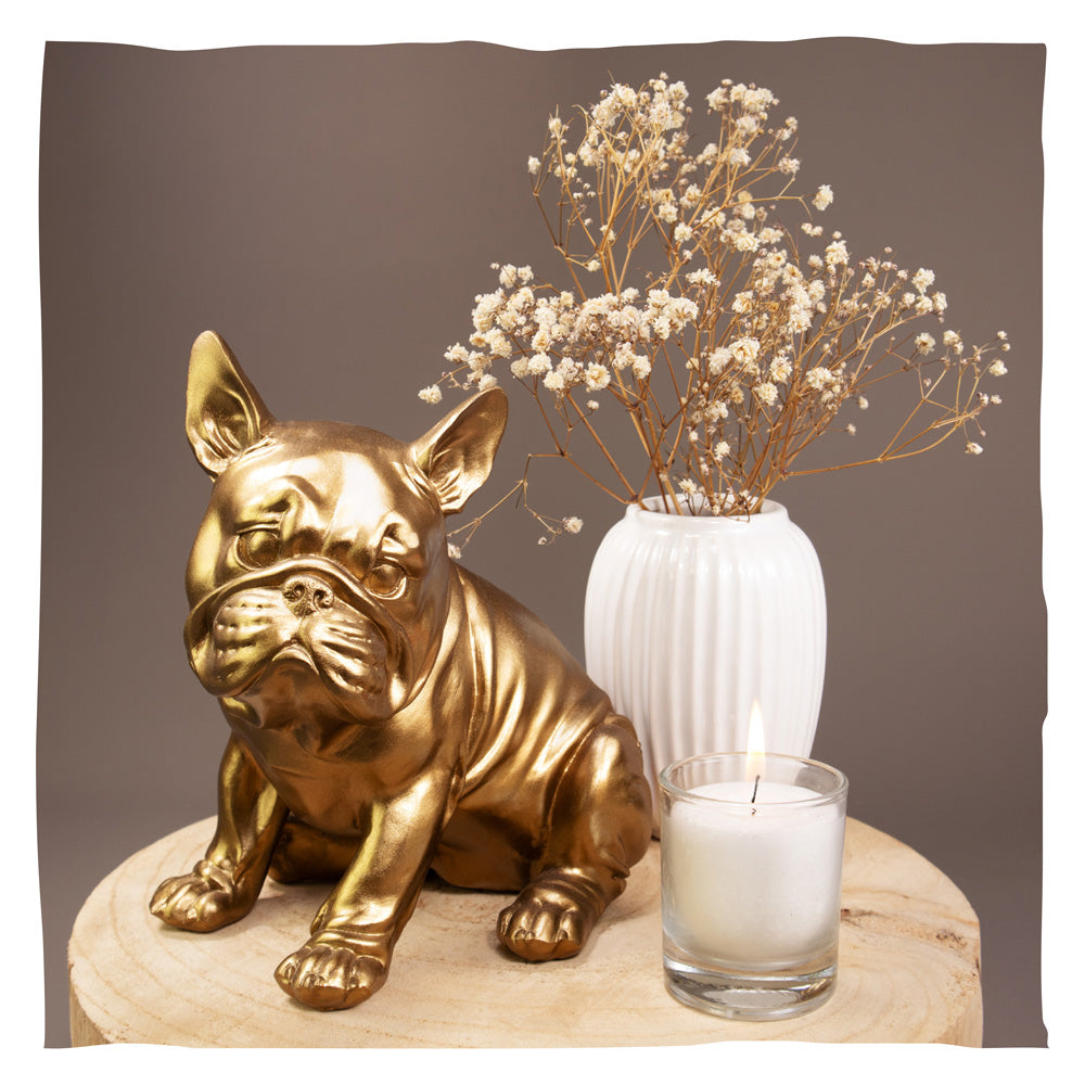 Tierurne "Frenchie"