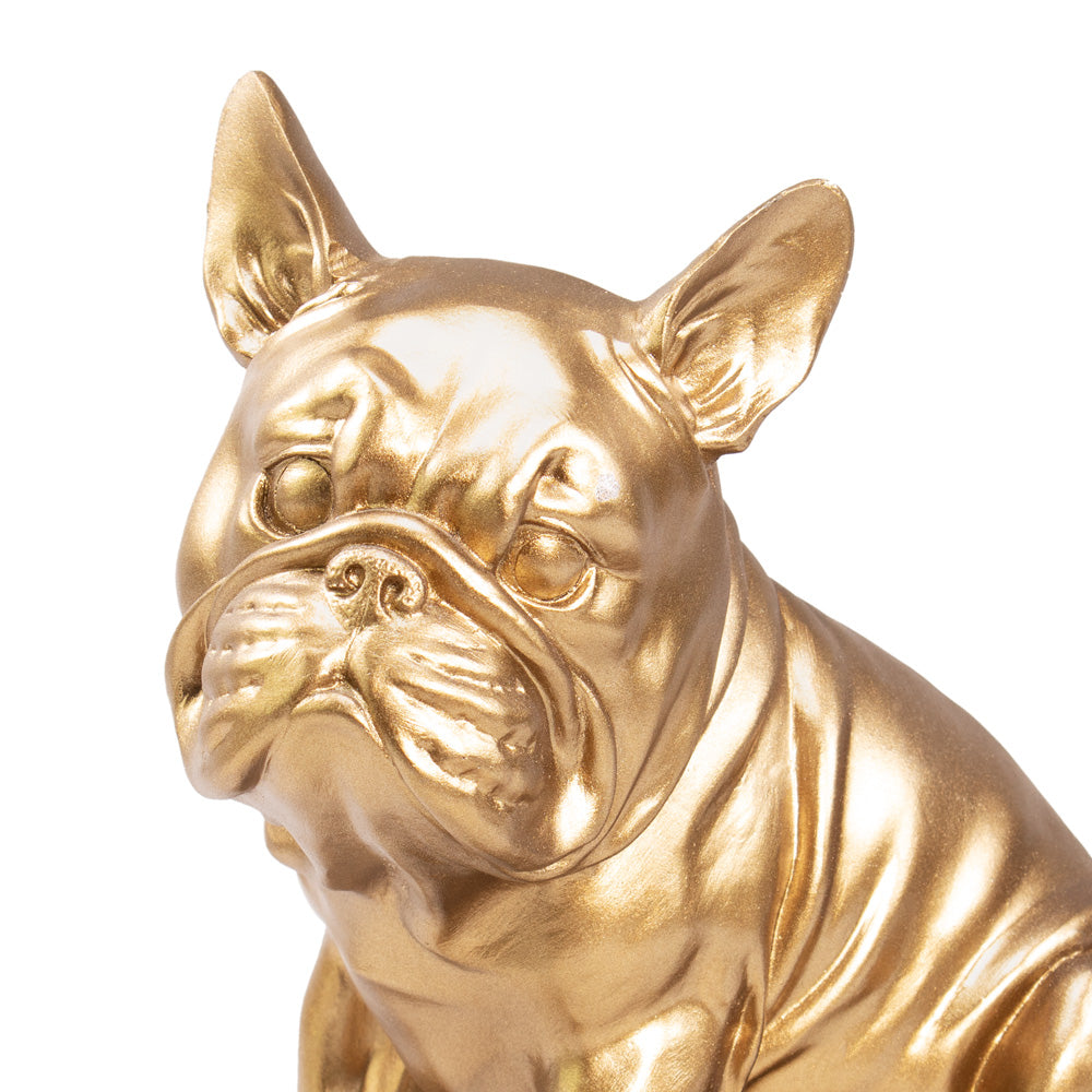 Tierurne "Frenchie"