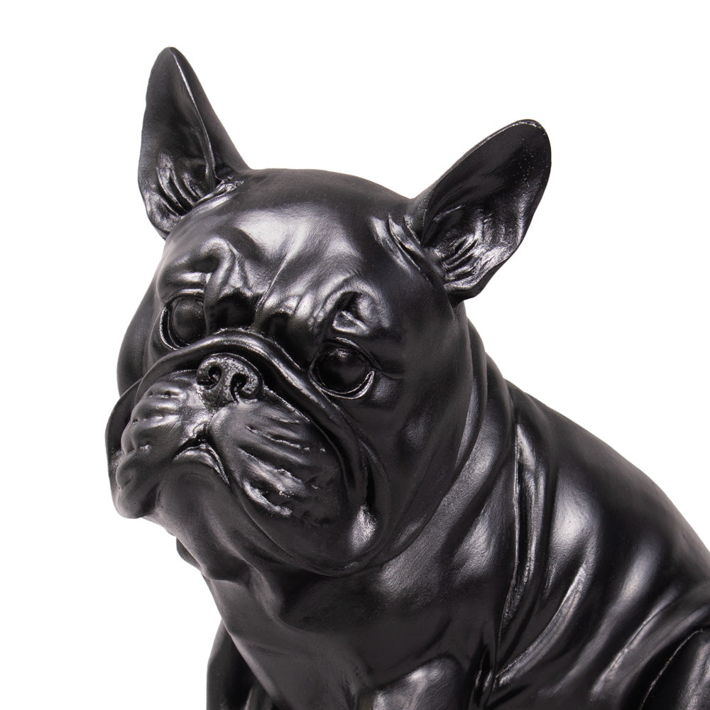 Tierurne "Frenchie"