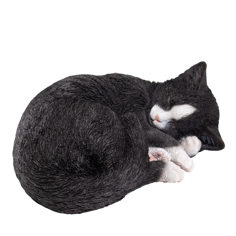 Tierurne "Tuxedo-Katze", eingerollt