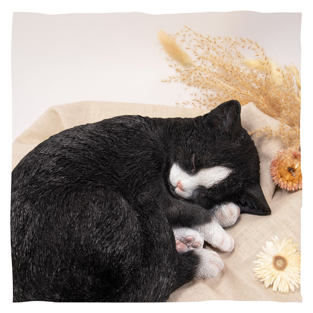 Tierurne "Tuxedo-Katze", eingerollt
