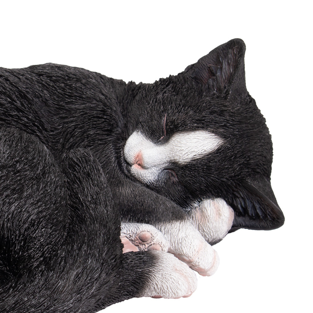 Tierurne "Tuxedo-Katze", eingerollt