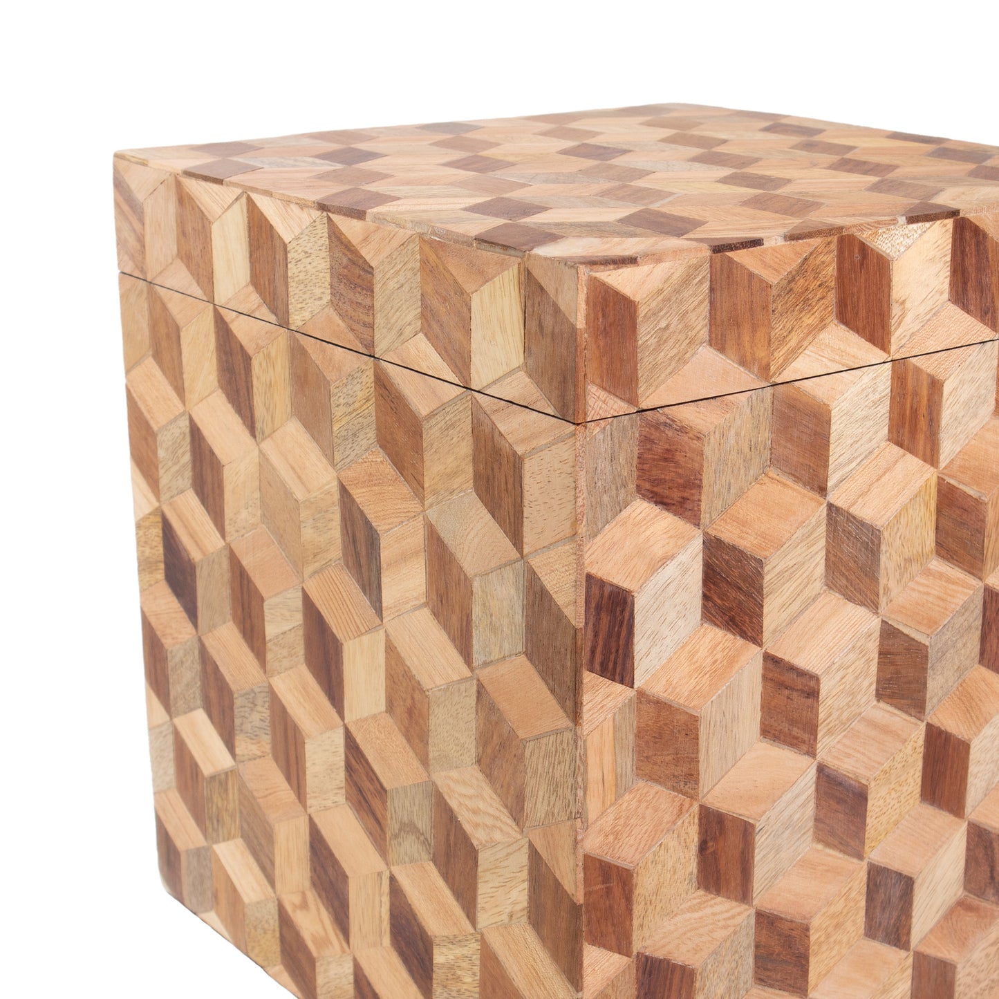 Holz Tierurne "Illusion"