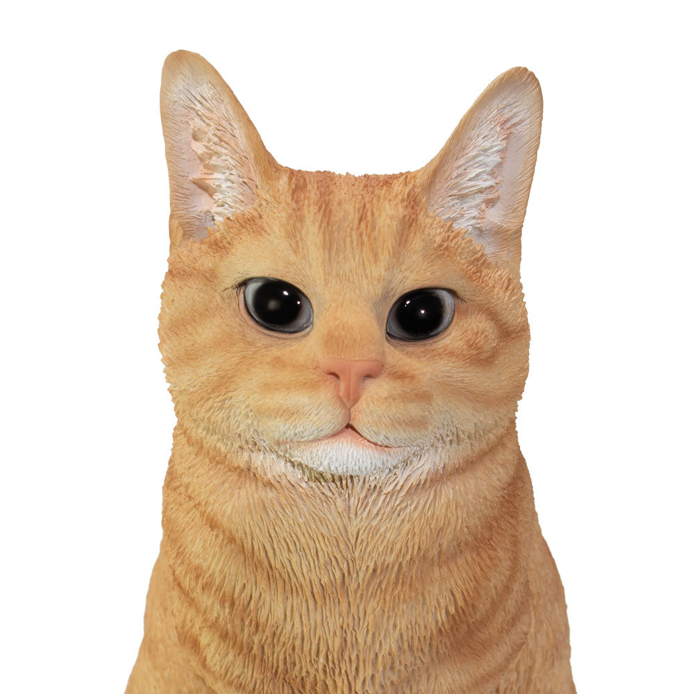 Tierurne