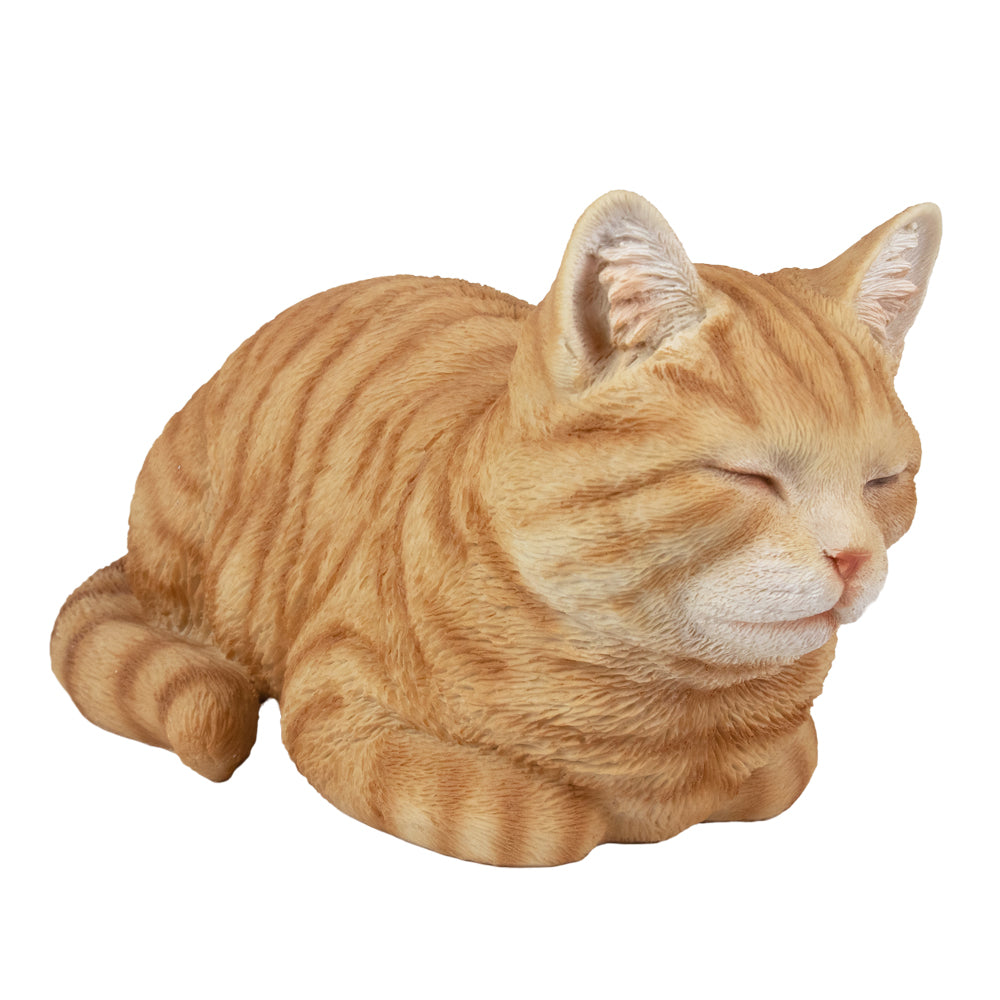 Tierurne "Ginger-Katze", schlummernd
