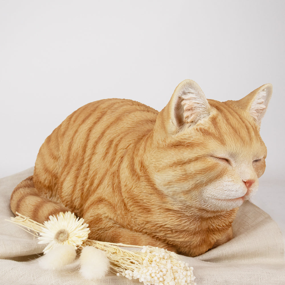 Tierurne "Ginger-Katze", schlummernd