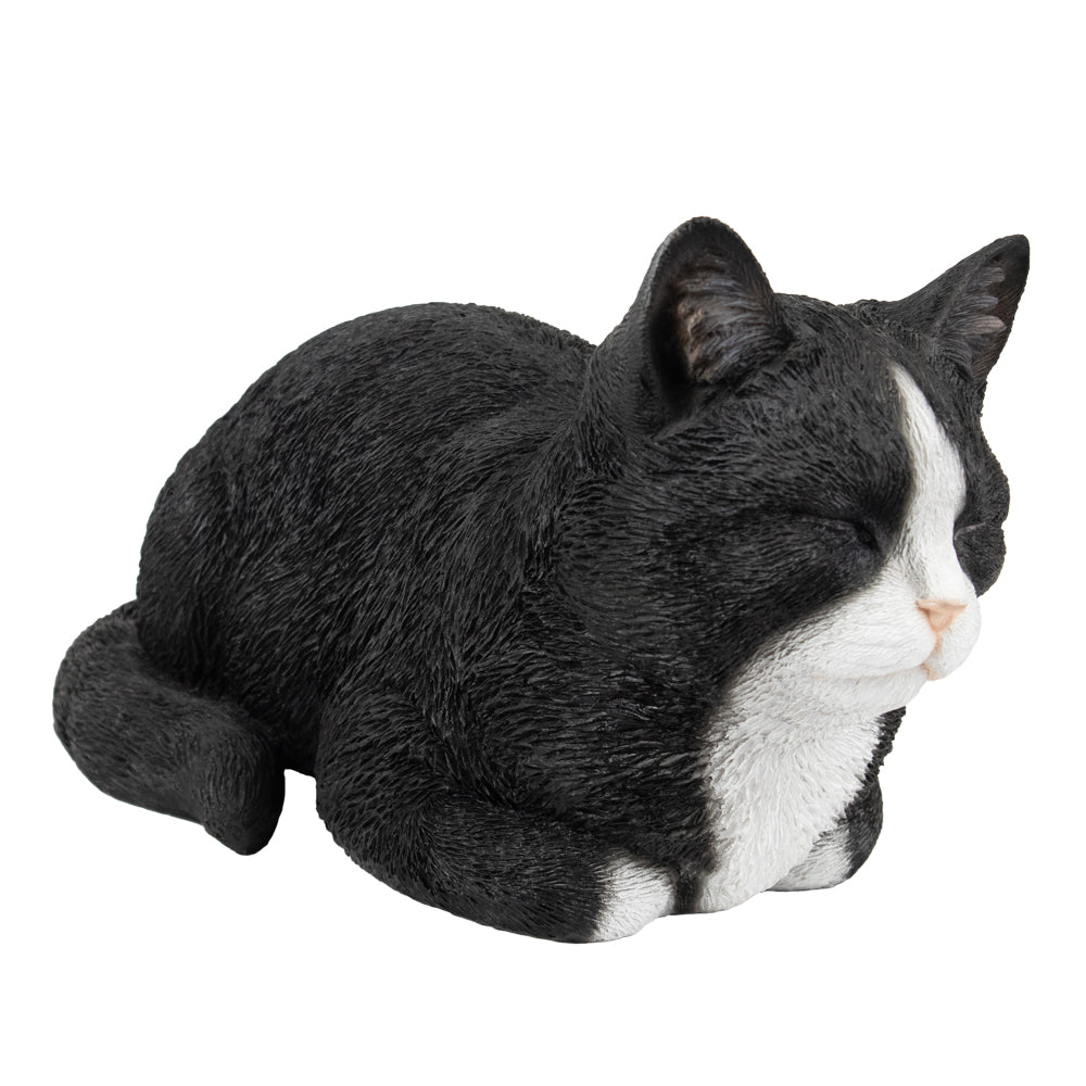 Tierurne "Tuxedo-Katze", schlummernd