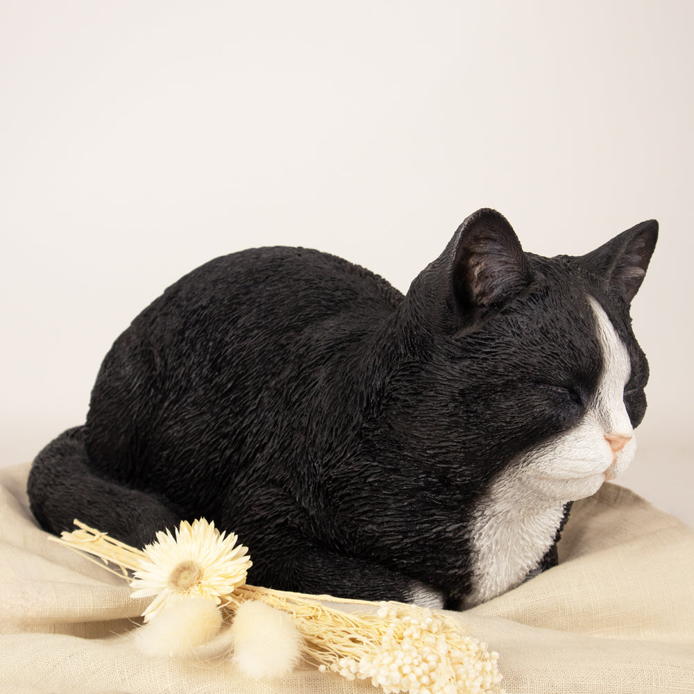 Tierurne "Tuxedo-Katze", schlummernd