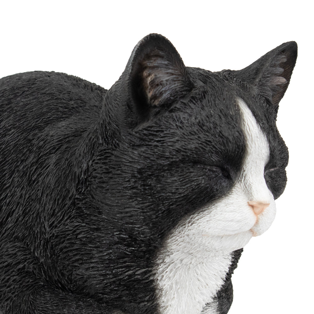 Tierurne "Tuxedo-Katze", schlummernd