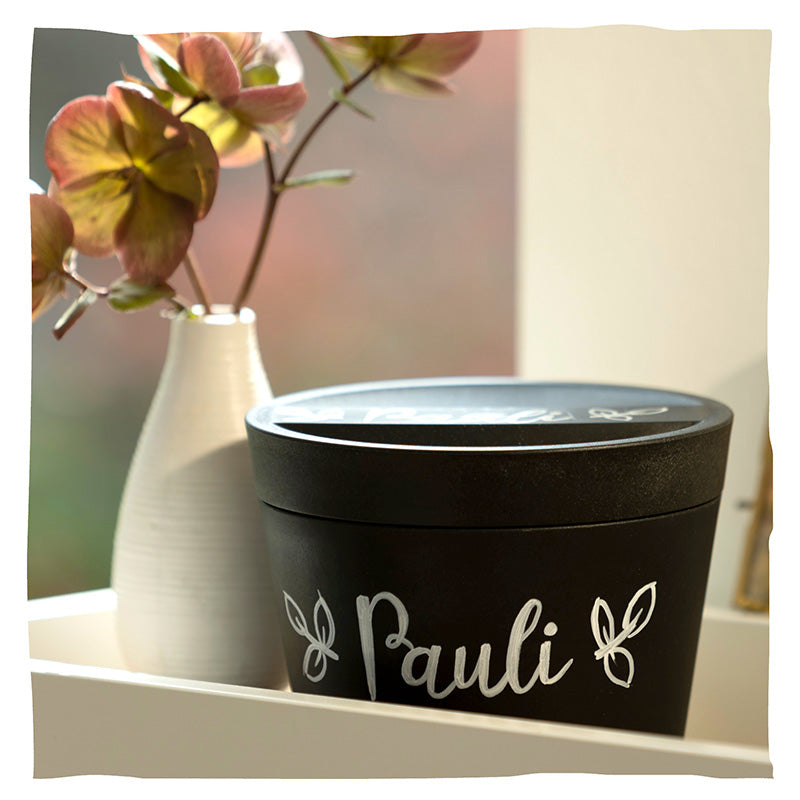 Biologisch abbaubare Tierurne 'Pure' und Jungbaum