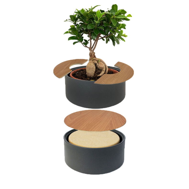 zweiteilige Keramikurne und Ginseng Bonsai (inkl. Leinensäckchen)