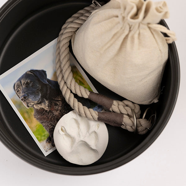zweiteilige Keramikurne und Ginseng Bonsai (inkl. Leinensäckchen)