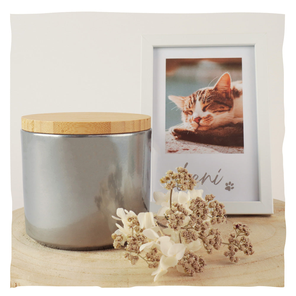 Keramik Tierurne "Shine"