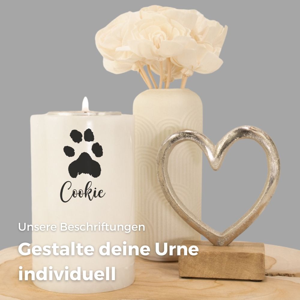 Tierurne