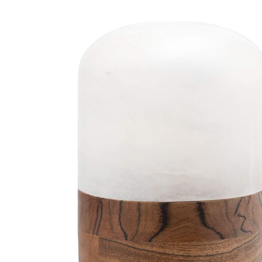Tierurne "Light of Memory" - Alabaster und Mango