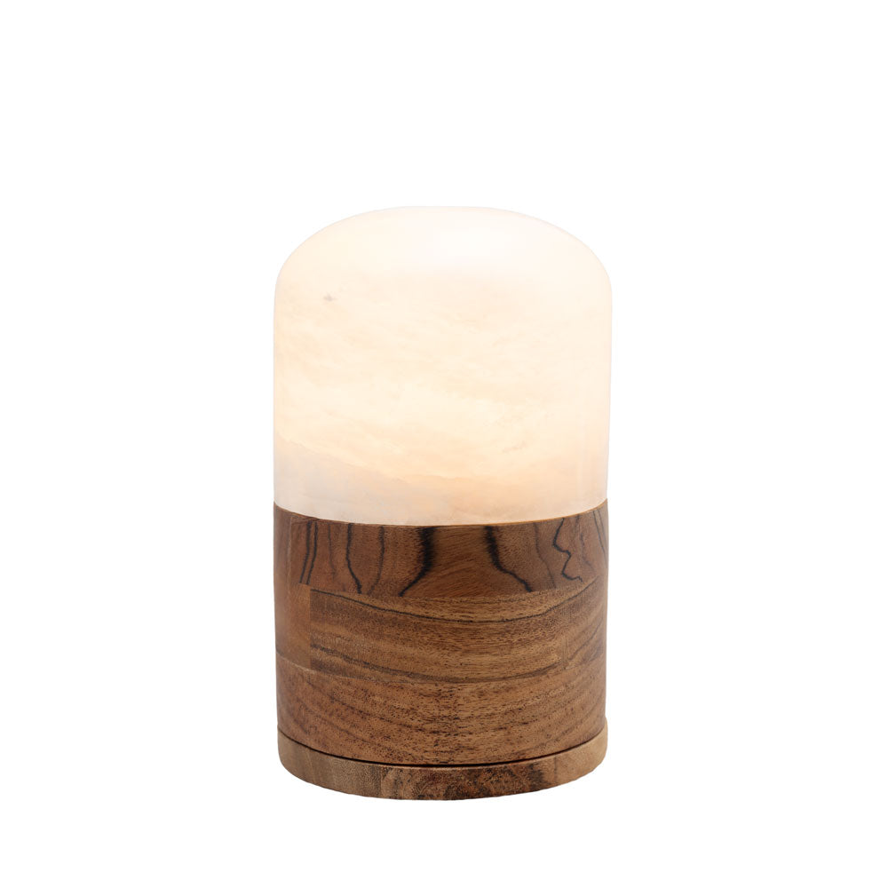 Tierurne "Light of Memory" - Alabaster und Mango