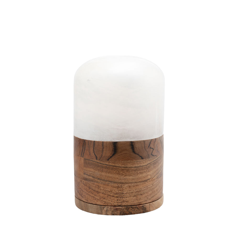 Tierurne "Light of Memory" - Alabaster und Mango