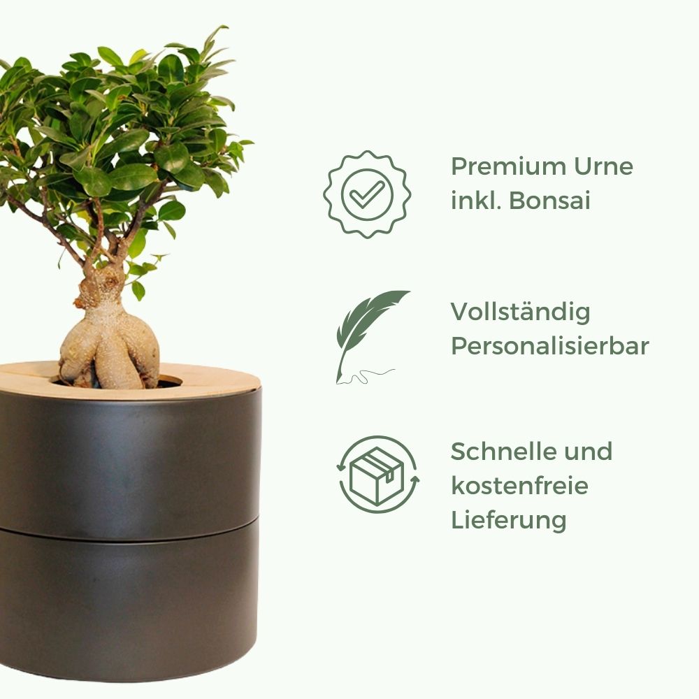 zweiteilige Keramikurne und Ginseng Bonsai (inkl. Leinensäckchen)