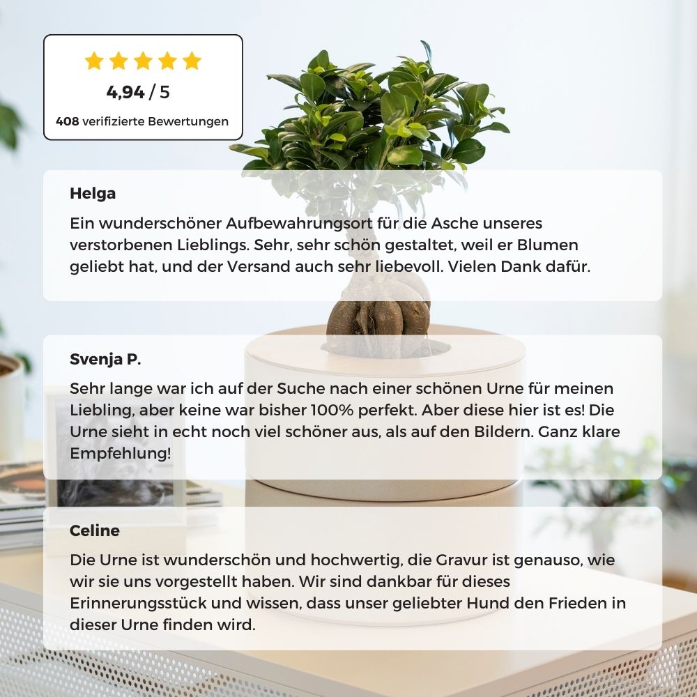 zweiteilige Keramikurne und Ginseng Bonsai (inkl. Leinensäckchen)