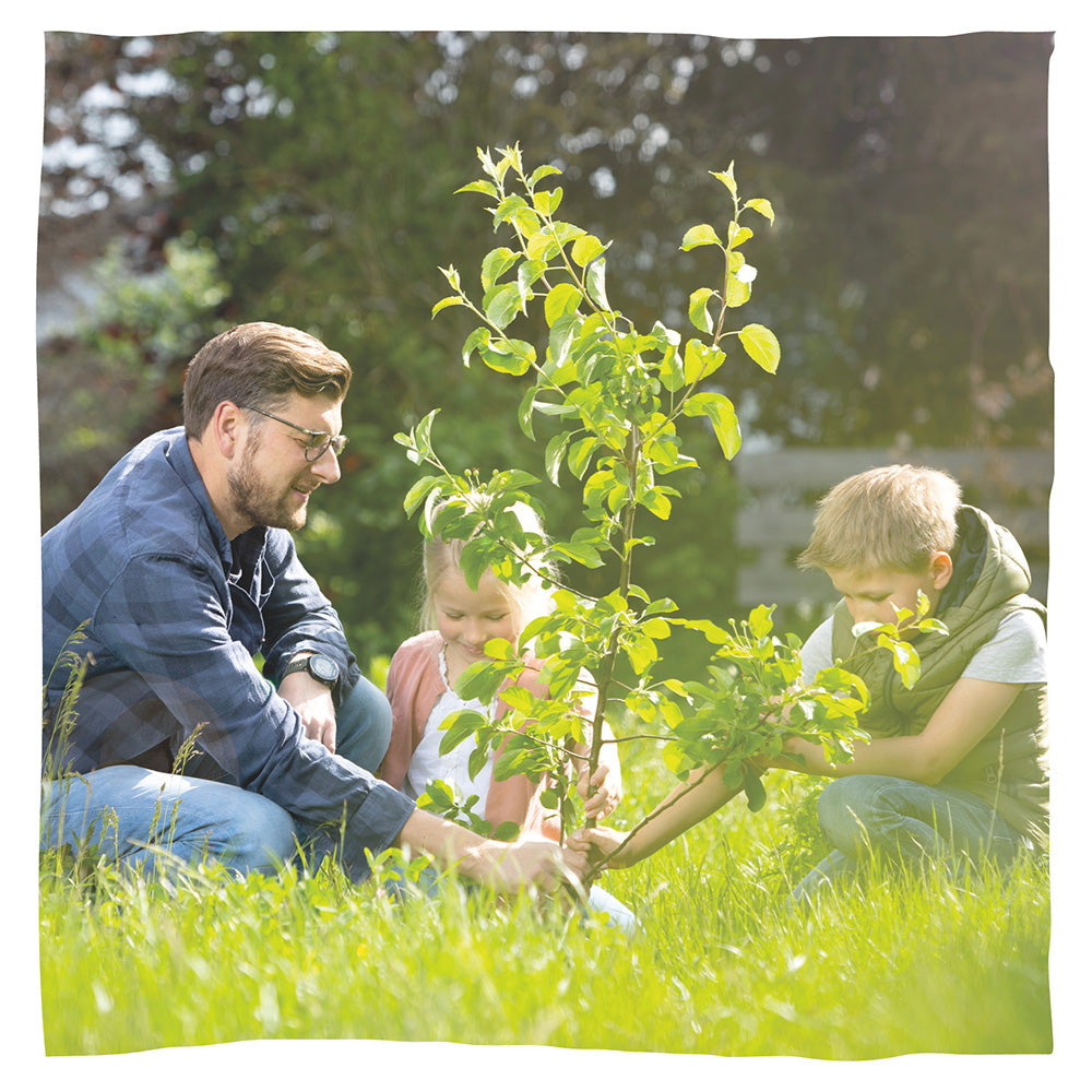 Biologisch abbaubare Tierurne 