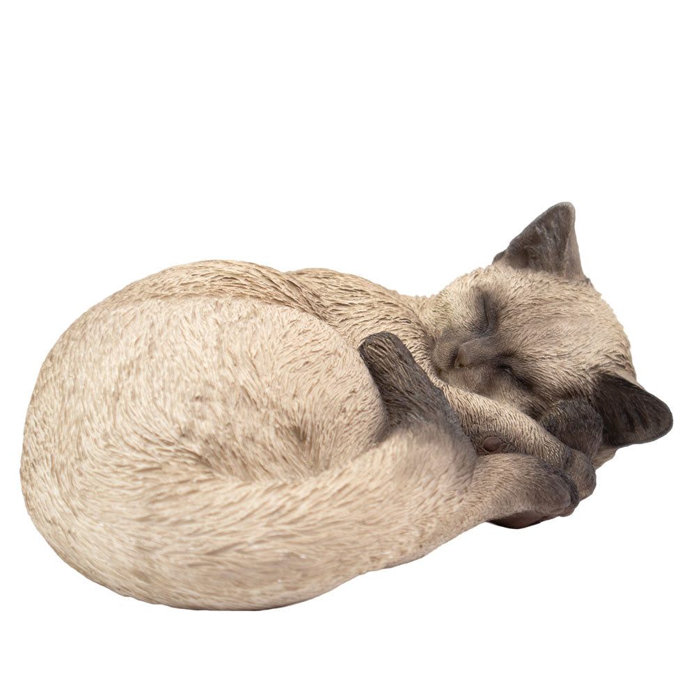 Tierurne 
